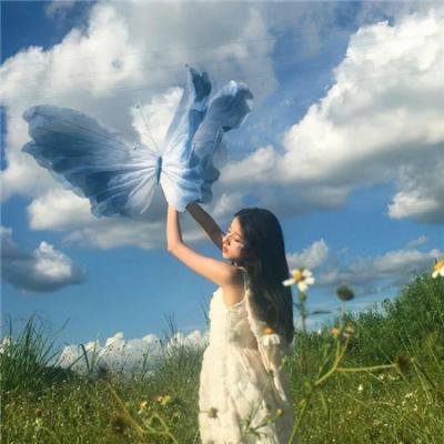 台北女子图鉴